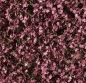 Silhouette 932-22 - Blutahornlaub / Red maple foli