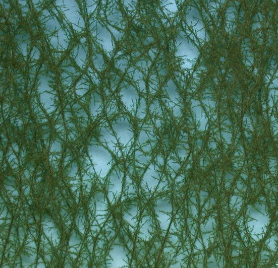Silhouette 973-22S - Fichte / Green spruce