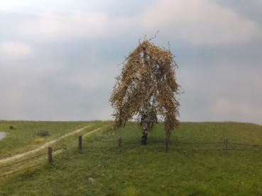 Silhouette 211-64 - Hängebirke/ Weeping birch