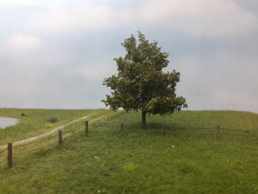 Silhouette 233-63 - Platane/ Plane-tree