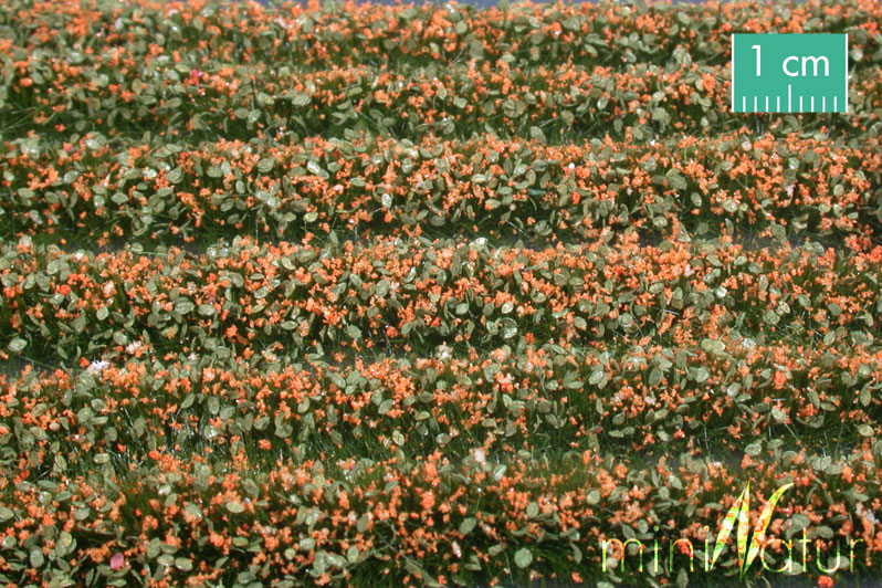 Silhouette 731-25 - Blütenstreifen / Blossom strip