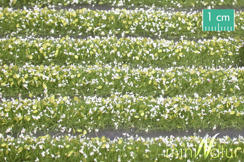 Silhouette 731-21 - Blütenstreifen / Blossom strip