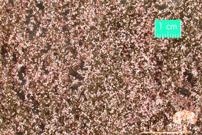Silhouette 927-25S - Kirschblüten / Cherry blossom