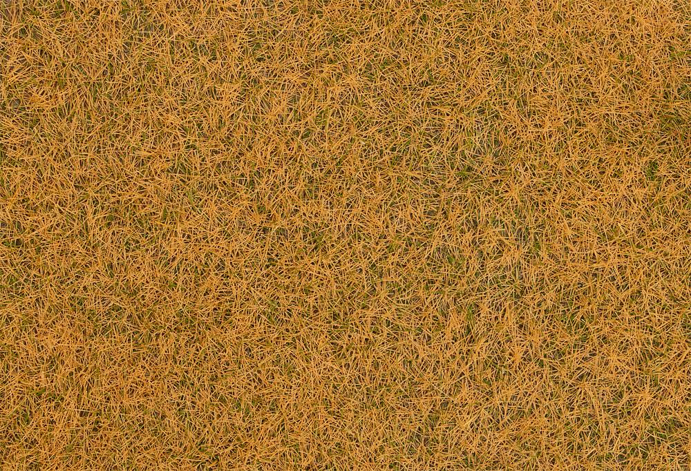Faller 170224 - Grasfasern, beige, 4 mm, 80 g