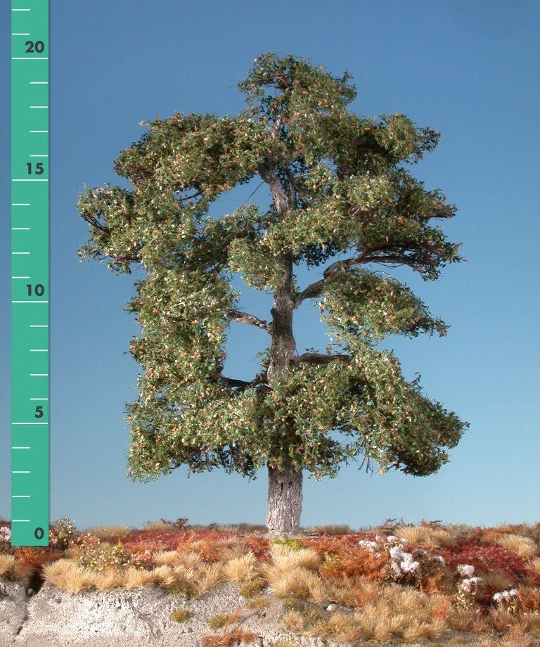 Silhouette 280-13 - Eiche/ Oak